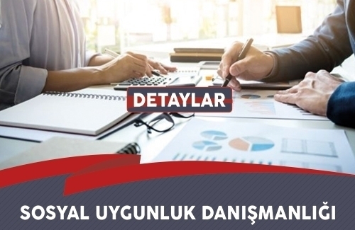 Sosyal uygunluk danışmanlığı